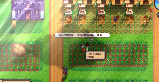 宠物低语