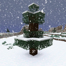 Snow Under Trees