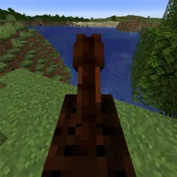 Bareback Horse Riding