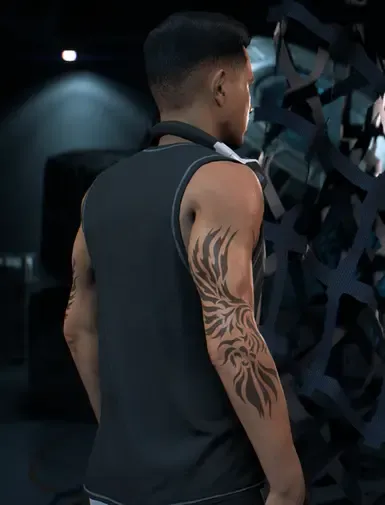 凤凰与鹰纹身,适用于男性Ryder