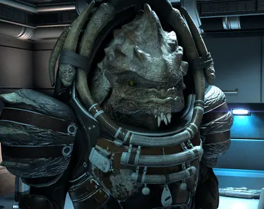 德拉克棕色护甲重新着色