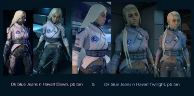 哈瓦尔的黄昏与哈瓦尔黎明 - TRENDSETTER RYDER pb 服装重新贴图