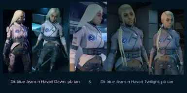 哈瓦尔的黄昏与哈瓦尔黎明 - TRENDSETTER RYDER pb 服装重新贴图