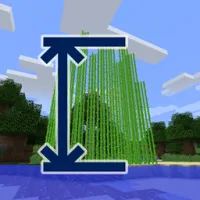 Configurable Cane