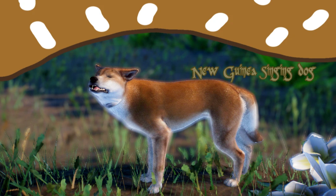 新几内亚歌唱犬 - 新物种 ( 1.20 )