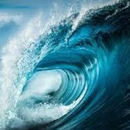 自然灾害:海啸与地震