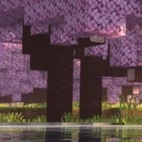 LynxCraft