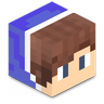 Salbox的技术MC (TMC)