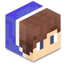 Salbox的技术MC (TMC)