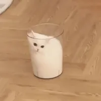 科西特 2