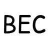 更好的实体剔除(BEC)
