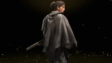灰黑原版羽织纹理替换修复