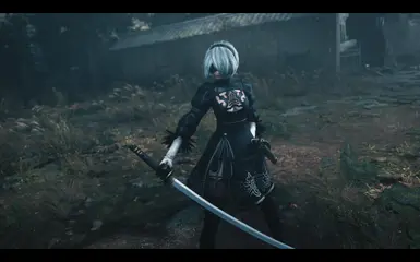 寄叶2B-替换-武藏