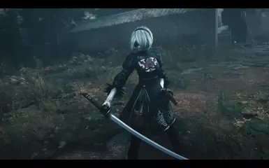 寄叶2B-替换-武藏