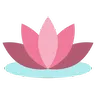 Kotatsu的装饰模组