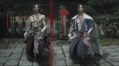 佐佐木岩流取代宫本武藏(终极版)