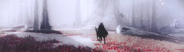 (锦标赛) 艾尔登之地