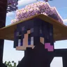 流浪武士