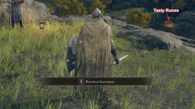 立即恢复卢恩 - 与《艾尔登法环》DLC“黄金树幽影”兼容(死亡不掉落卢恩)