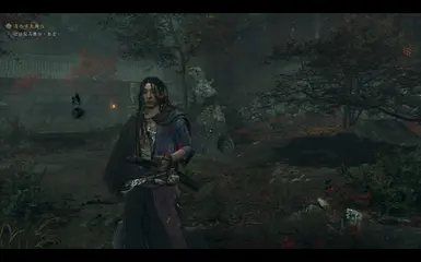 佐佐木岩流替换宫本武藏(演示版)