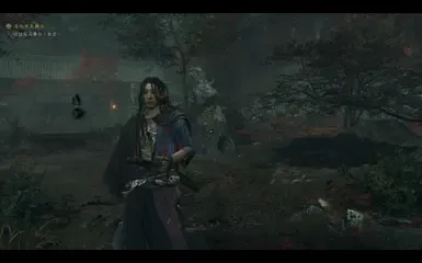 佐佐木岩流替换宫本武藏(演示版)