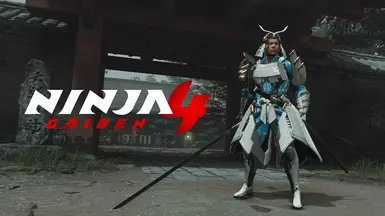 D.D.O. 指挥官武藏(NG4)