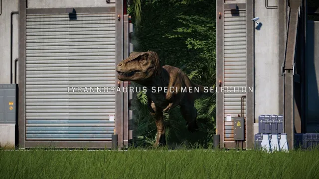 JWE - 霸王龙标本选择