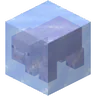 方面