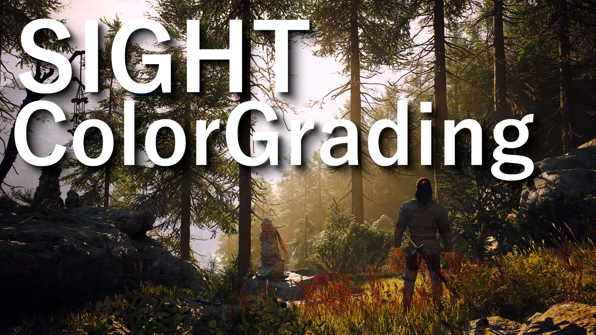 SIGHT ColorGrading for The Blood of Dawnwalker