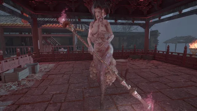 羽毛宫女