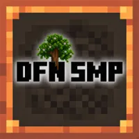 DFN - SMP 2