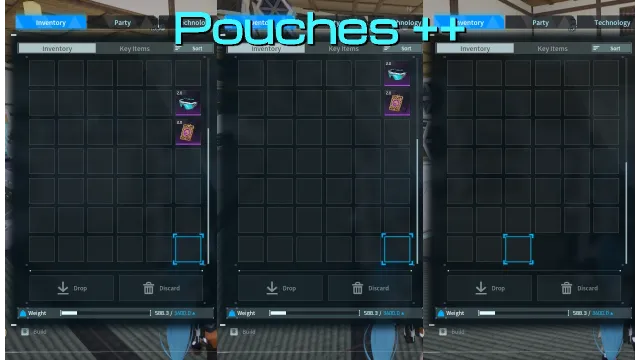 袋 pp