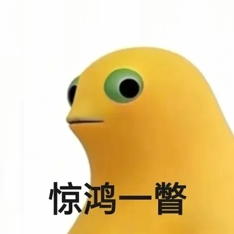 农夫的孩子 ZN