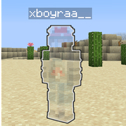 看见隐形玩家