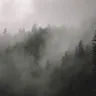 世界大战僵尸