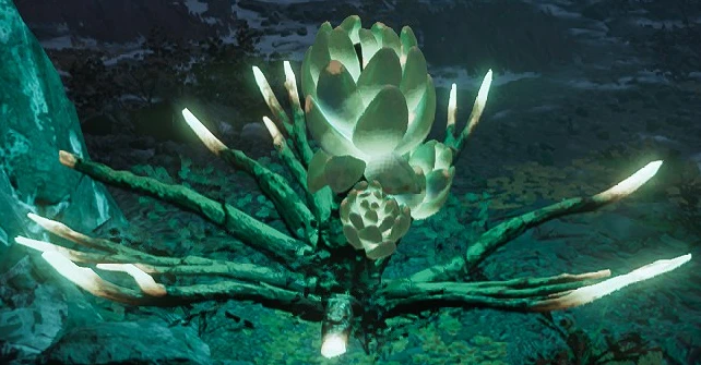 无害植物