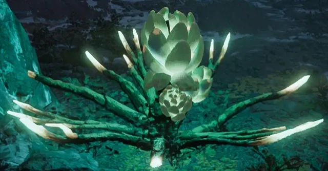 无害植物