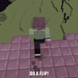 Do a Flip