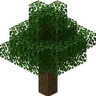 自然精灵起源