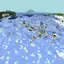 永久冻土生物群系