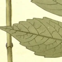 幻想——每样都来一点点(一点点!)