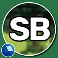 Sword Blocking Mechanics