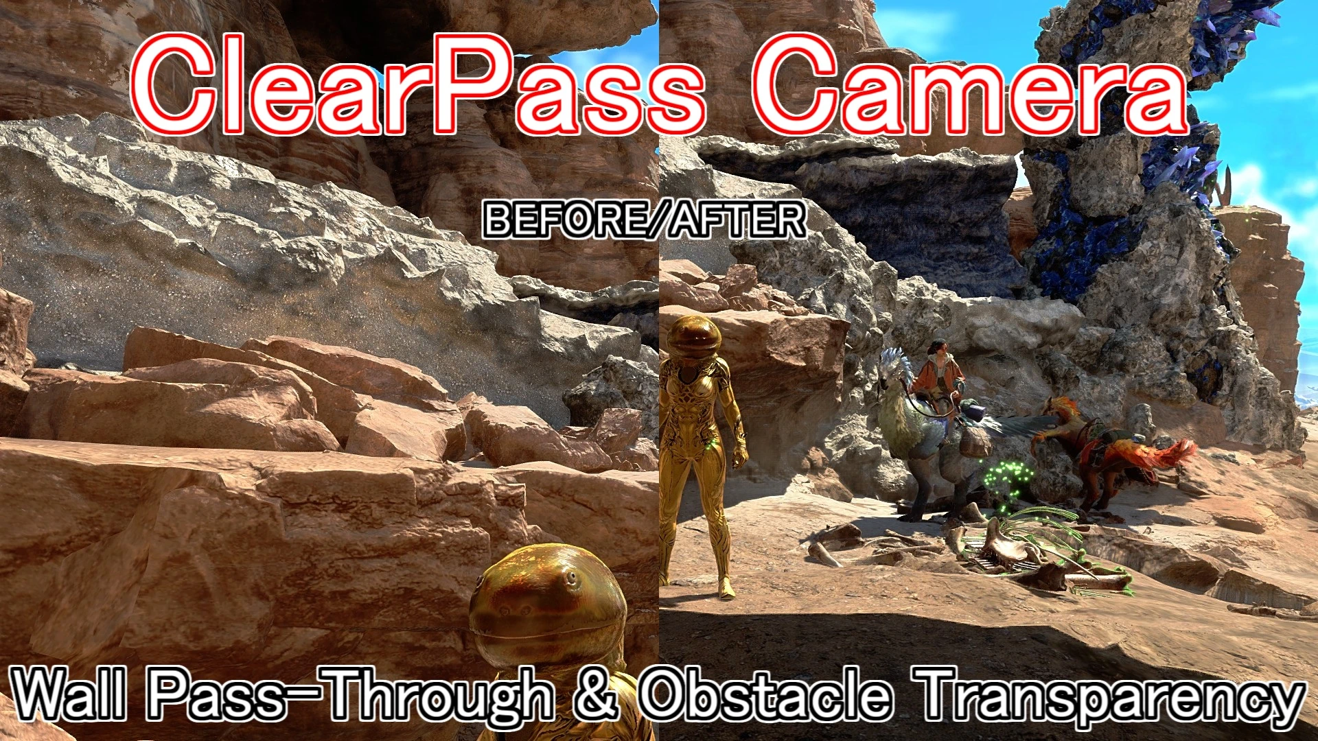 ClearPass 摄像机