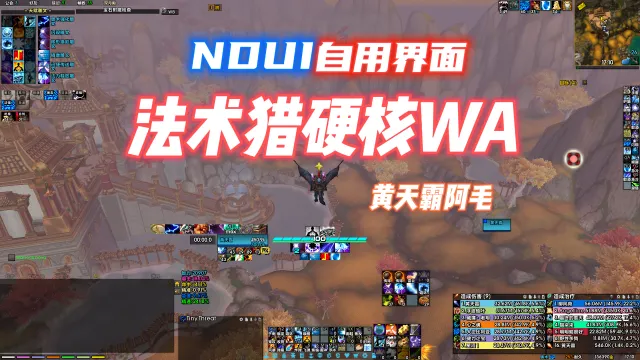 黄天霸阿毛核心WA+音频+配置特效警报提示(硬核监控名种细节)全面提升DPS轻松+愉快(国一猎人/FS配置)