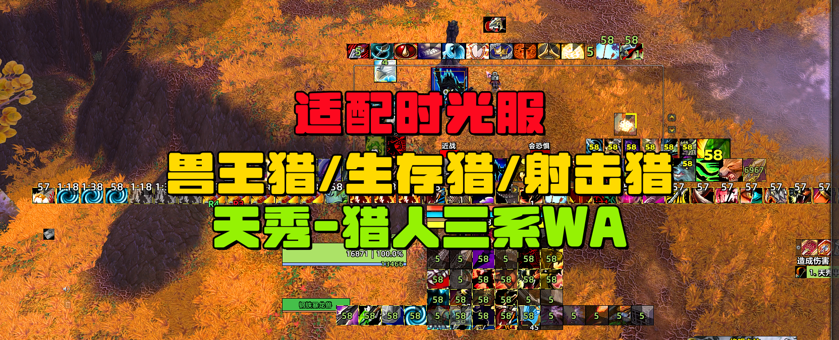 天秀-全套配置（包含三系通用语音包）1月31号更新最新版