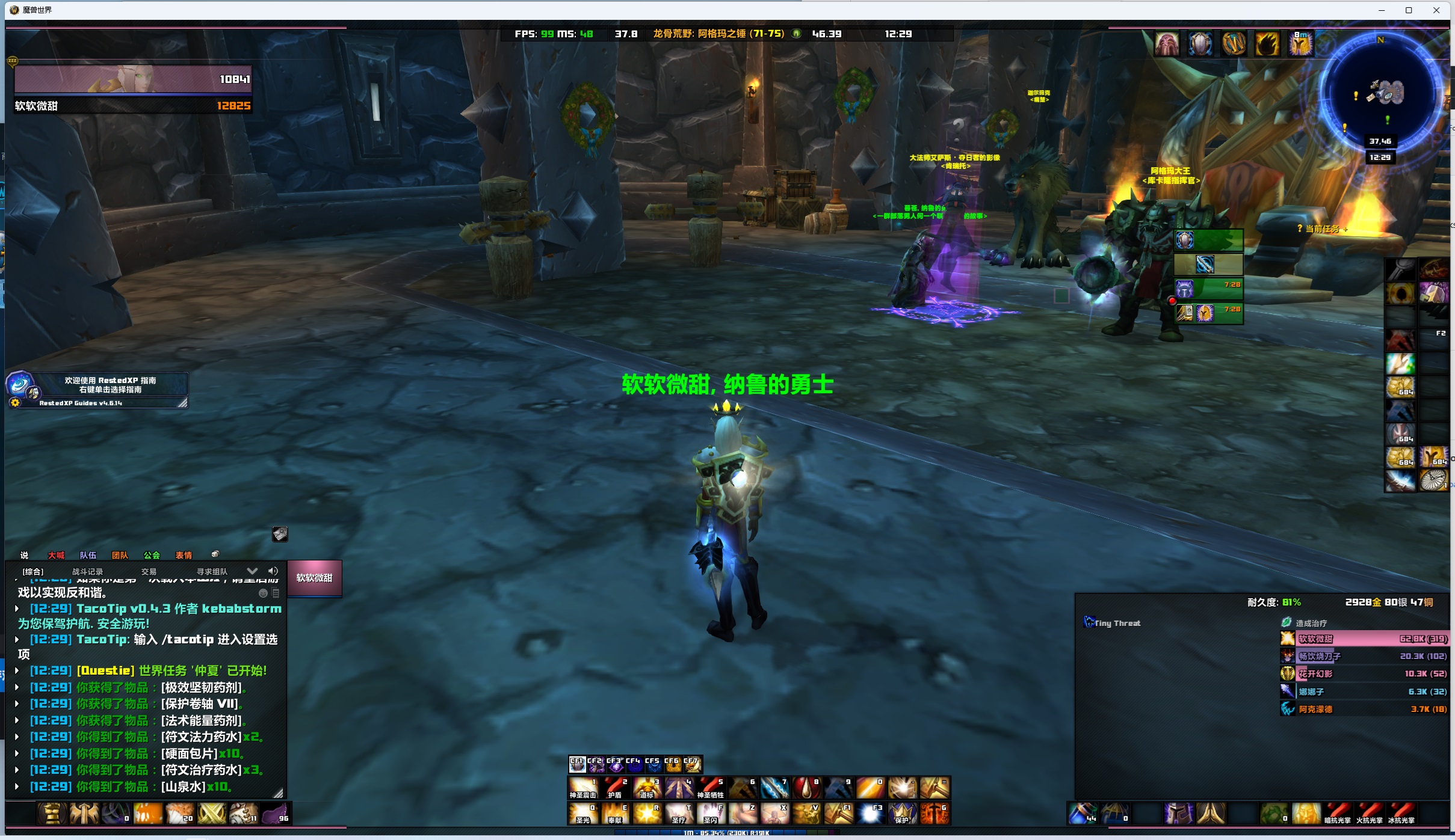 抖音软柿子-Elvui自制界面分享，内存低占用，适合全职业。