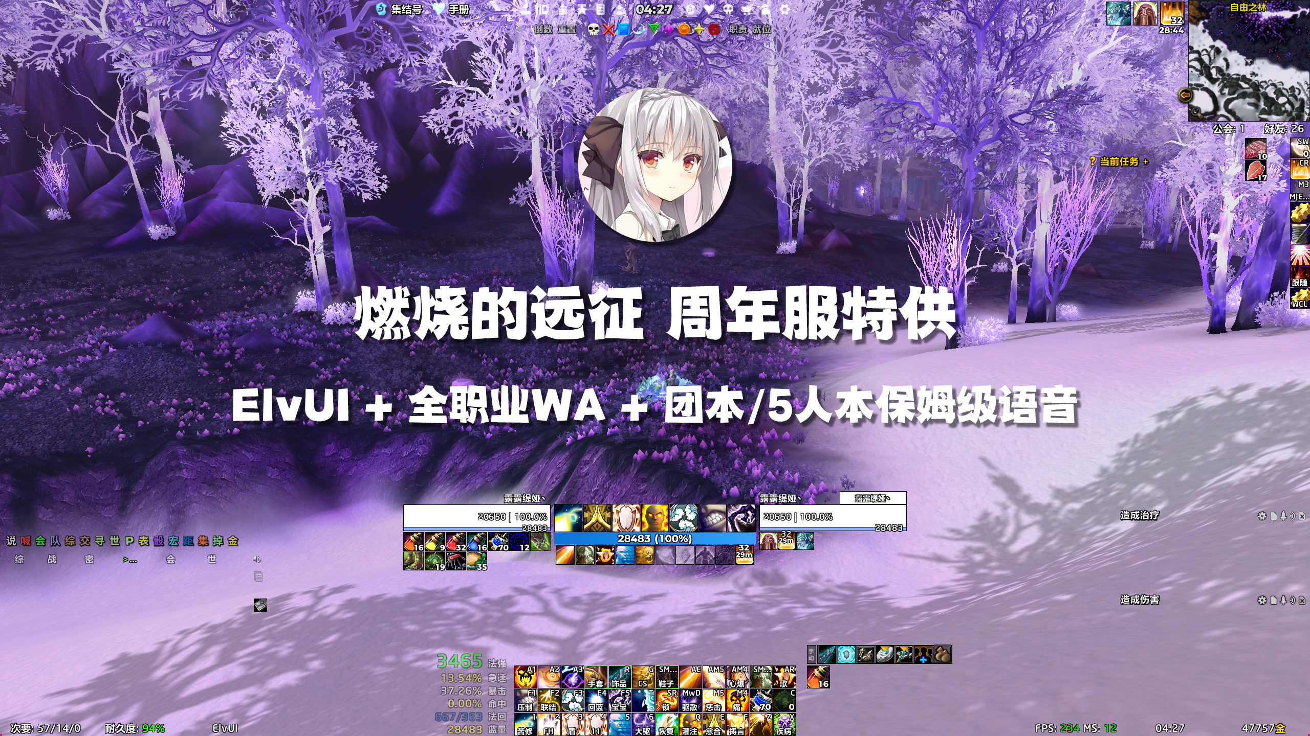 【露露】ElvUI配置 全职业WA 团本语音 TBC周年服