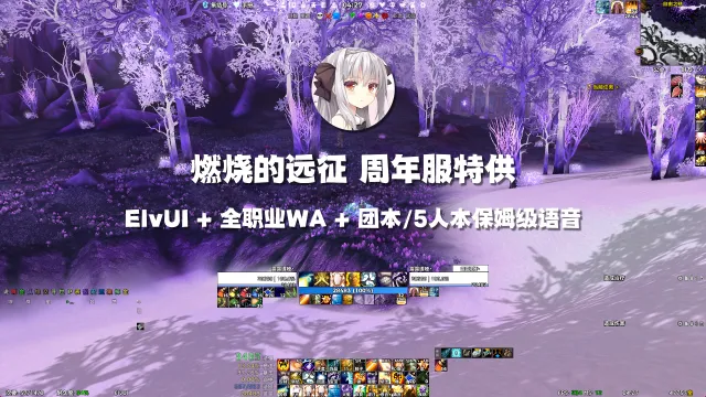 【露露】ElvUI配置 全职业WA 团本语音 TBC周年服