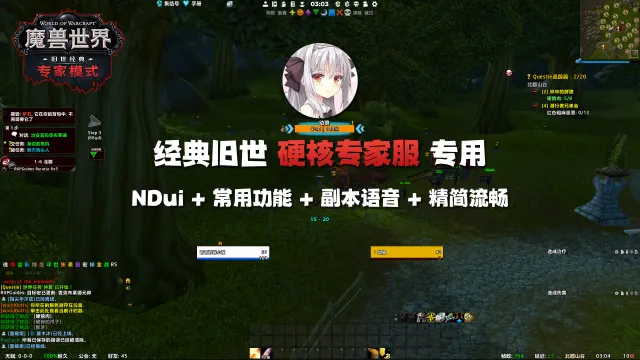 【露露】NDui 配置 硬核专家服专用 精简流畅