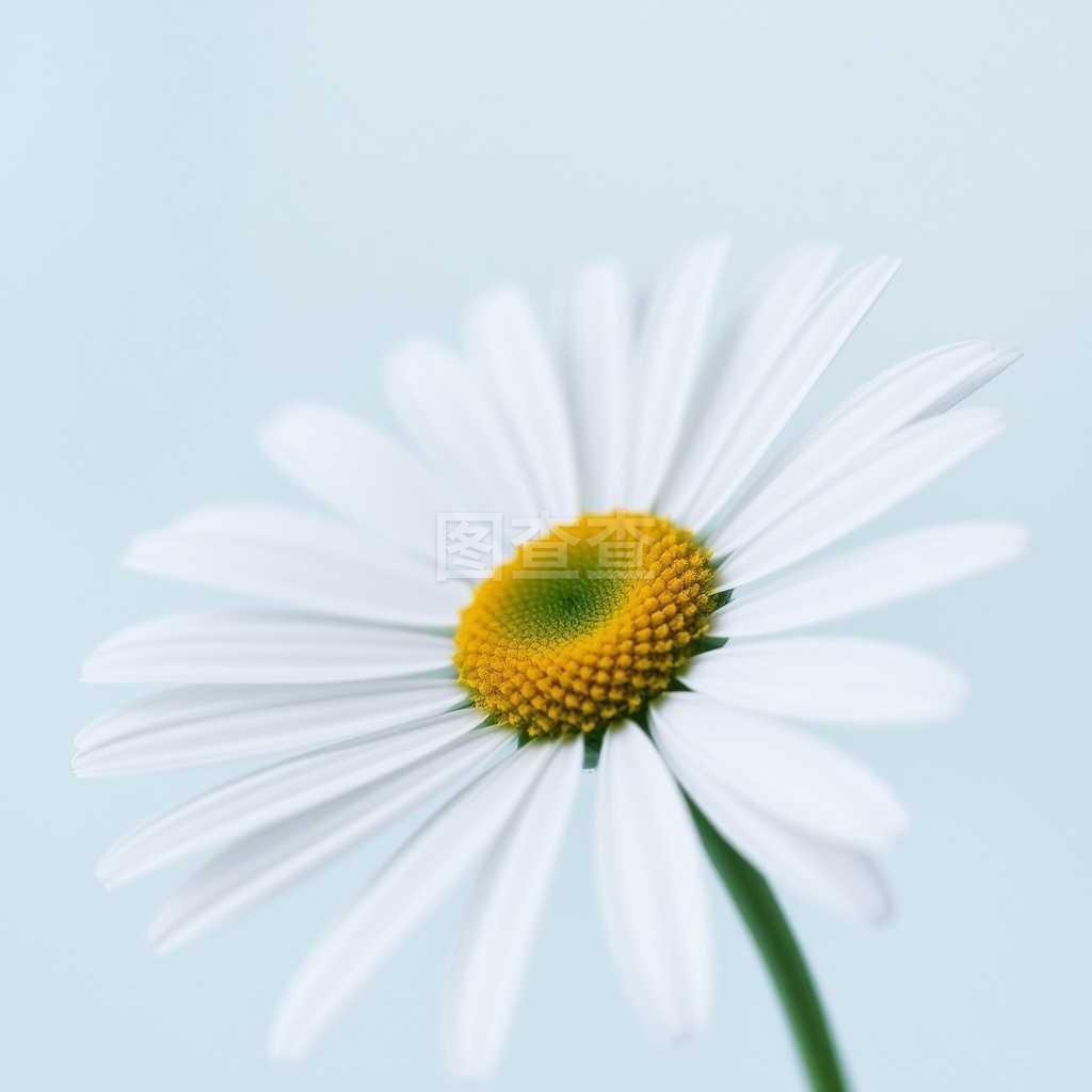 老北京，张定边，配置